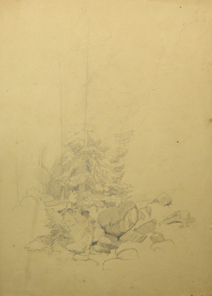 Studie van een landchap