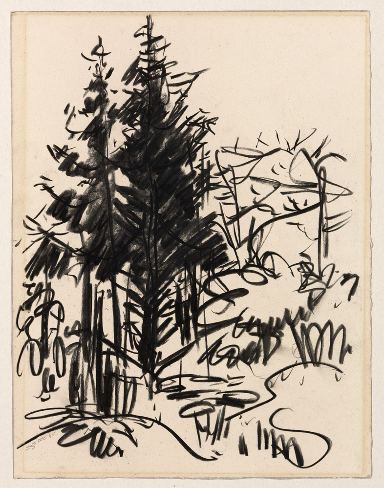 Zonder titel (dennen)