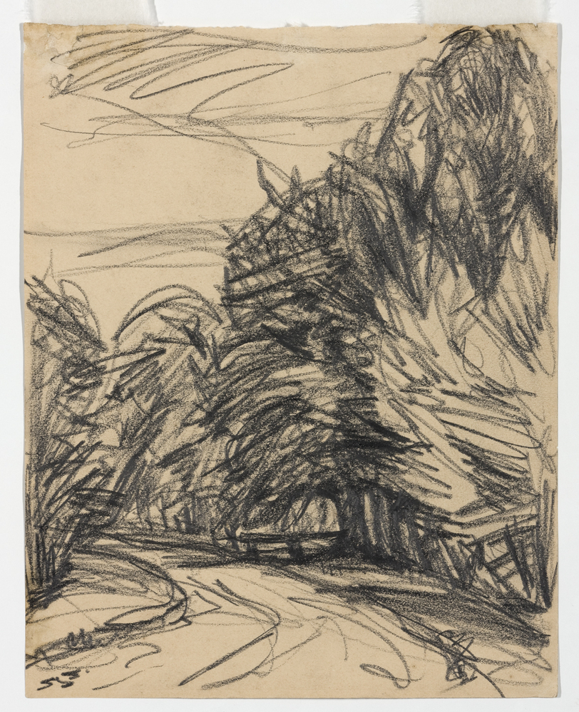 Zonder titel (bospad)