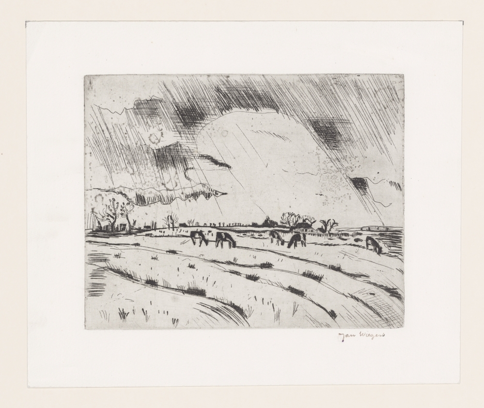 Landschap met koeien