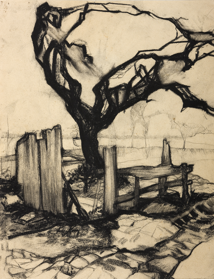 Gestileerde vruchtboom Blauwbörgje