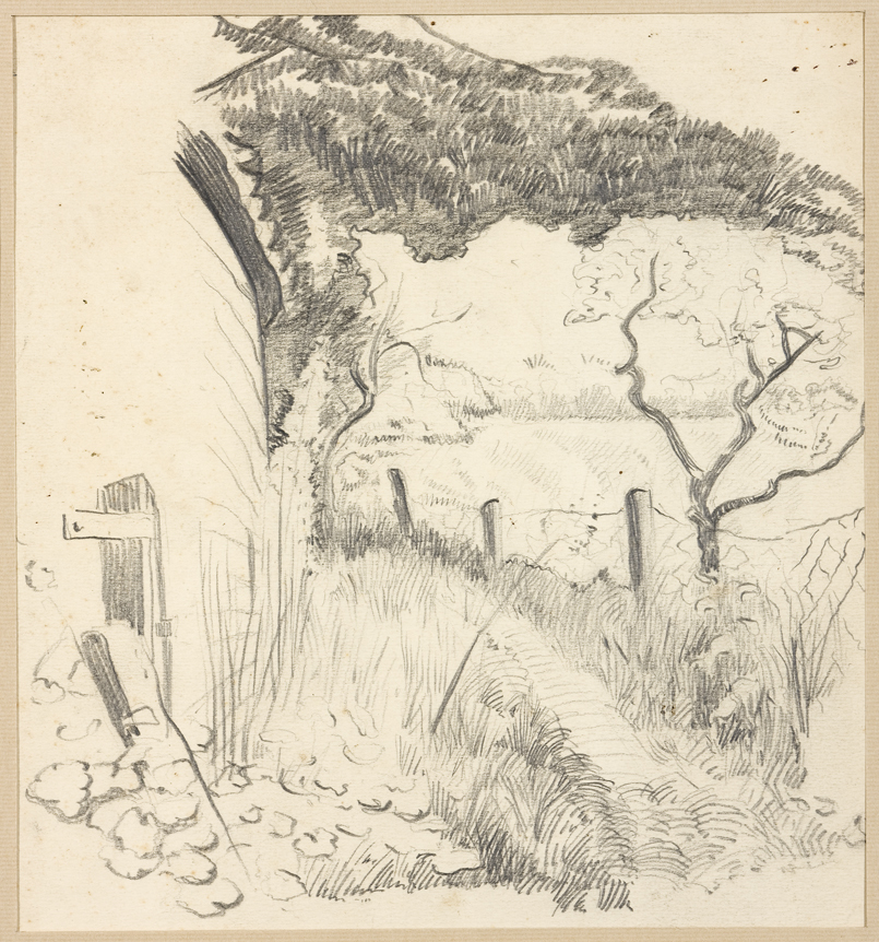 Pad langs het Blauwbörgje