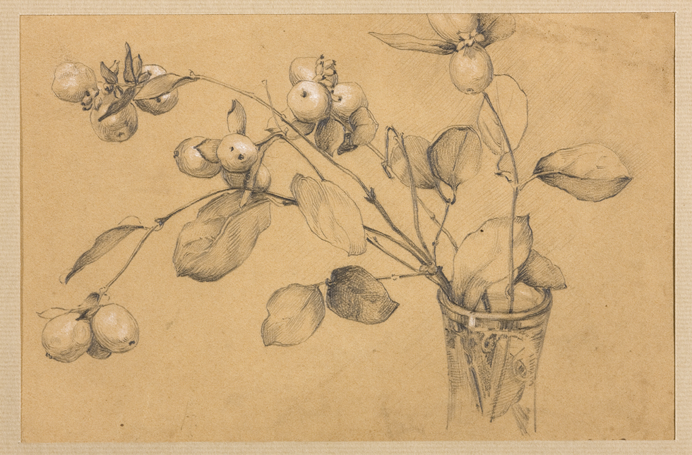 Sneeuwkerstakken in een kristallen vaas