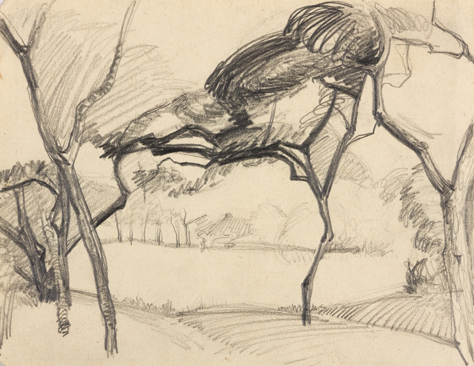 Boomgaard met gestileerde bomen