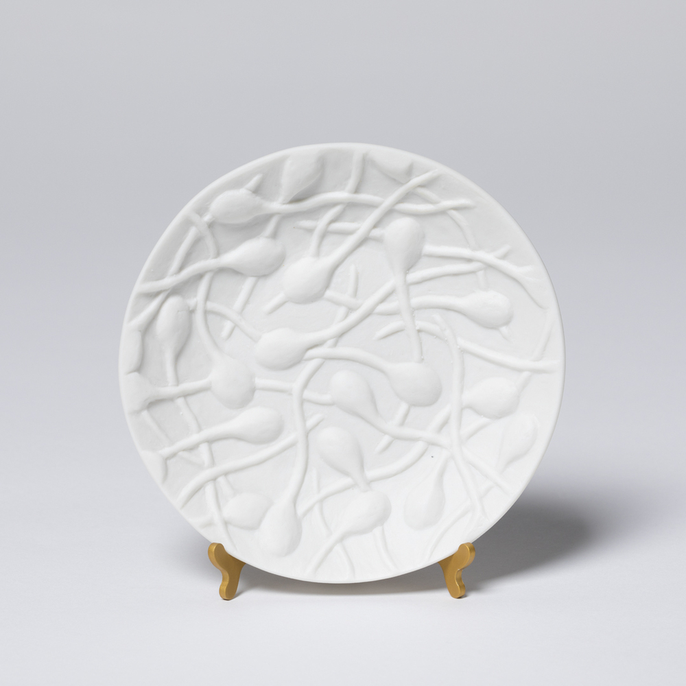 Cells (uit de serie: Biscuit)