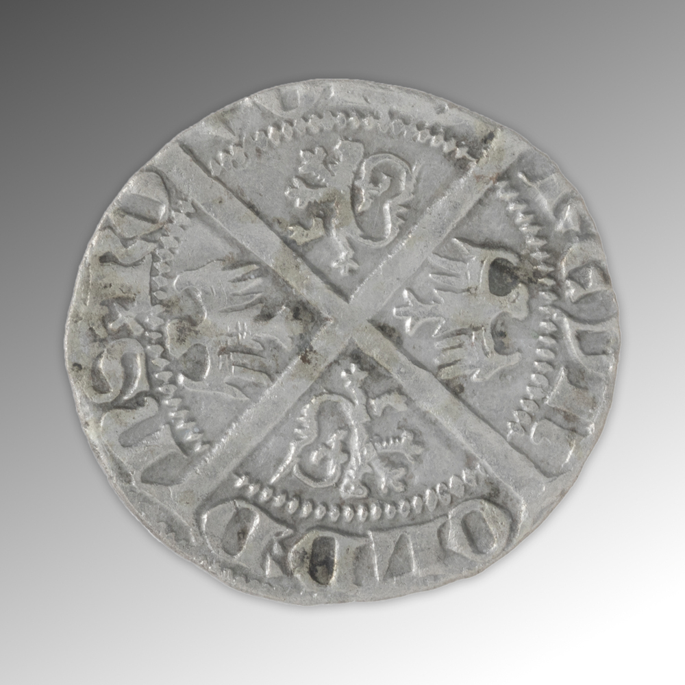 Coevordse halve groot met leeuw, Reinoud II (1324-1370)