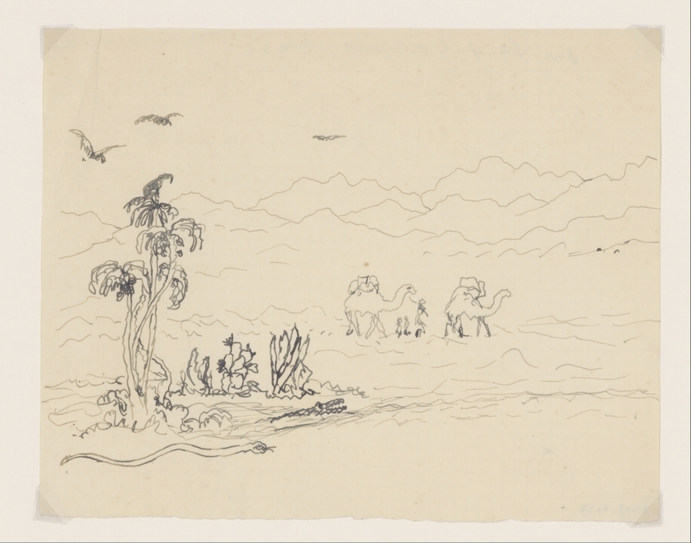 Landschap met dromedarissen