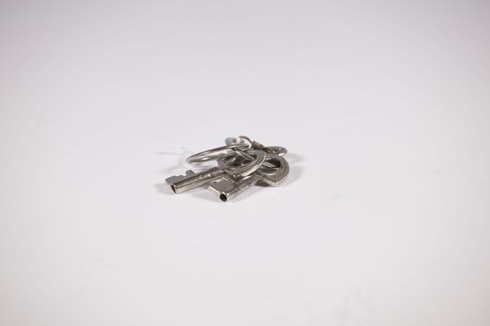 Sleuteltjes collectebussen (Pieterburen)