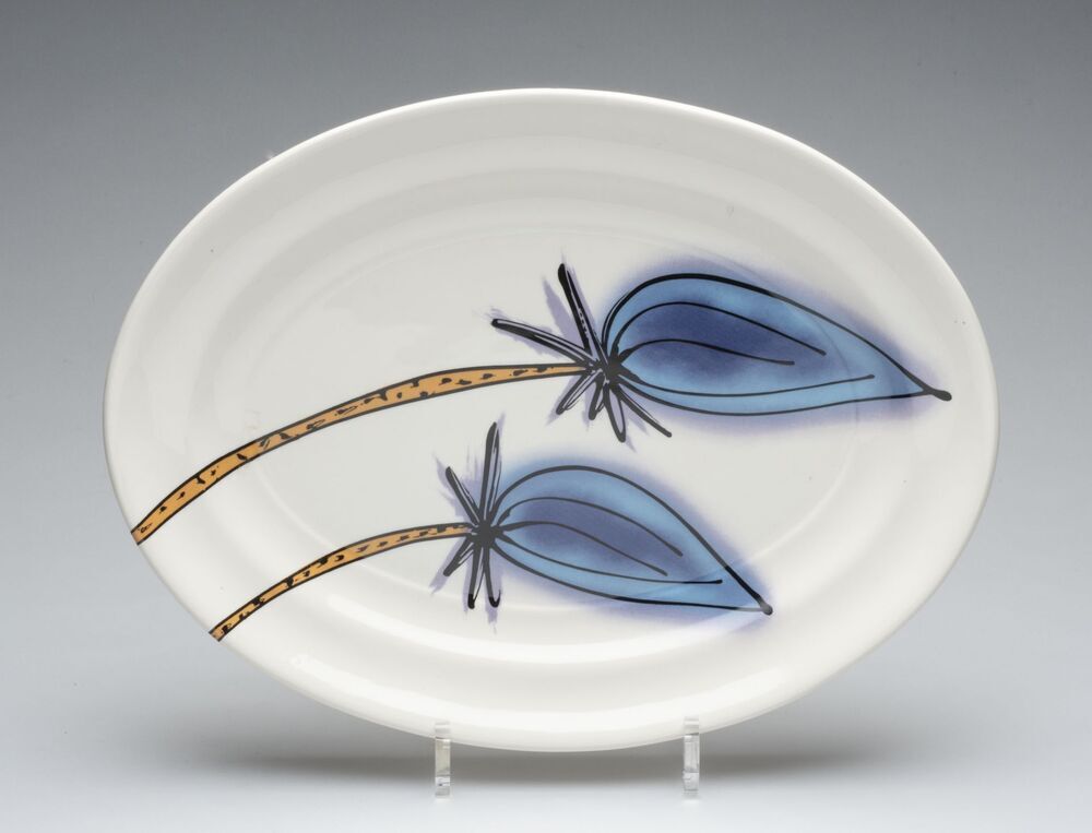 Schotel Academisch Ziekenhuis Groningen (AZG)