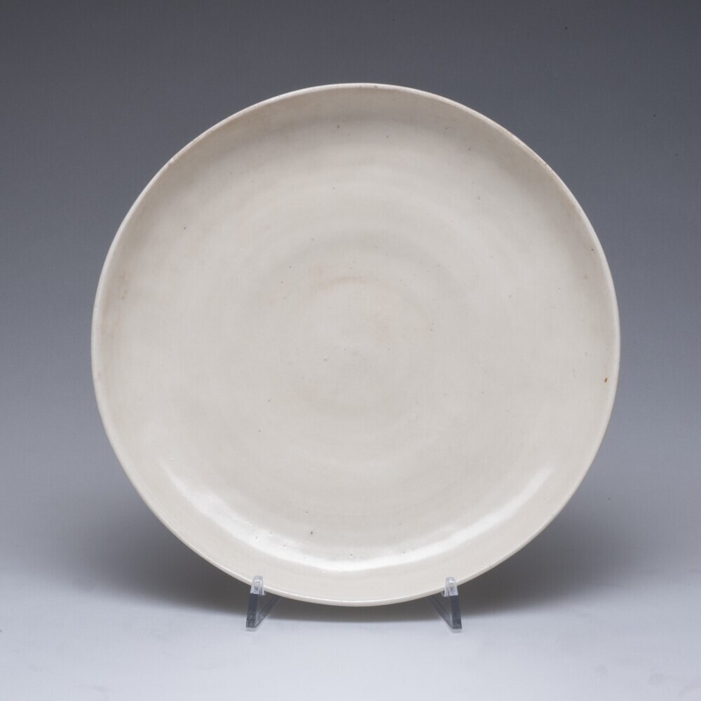 Wijde ondiepe schaal