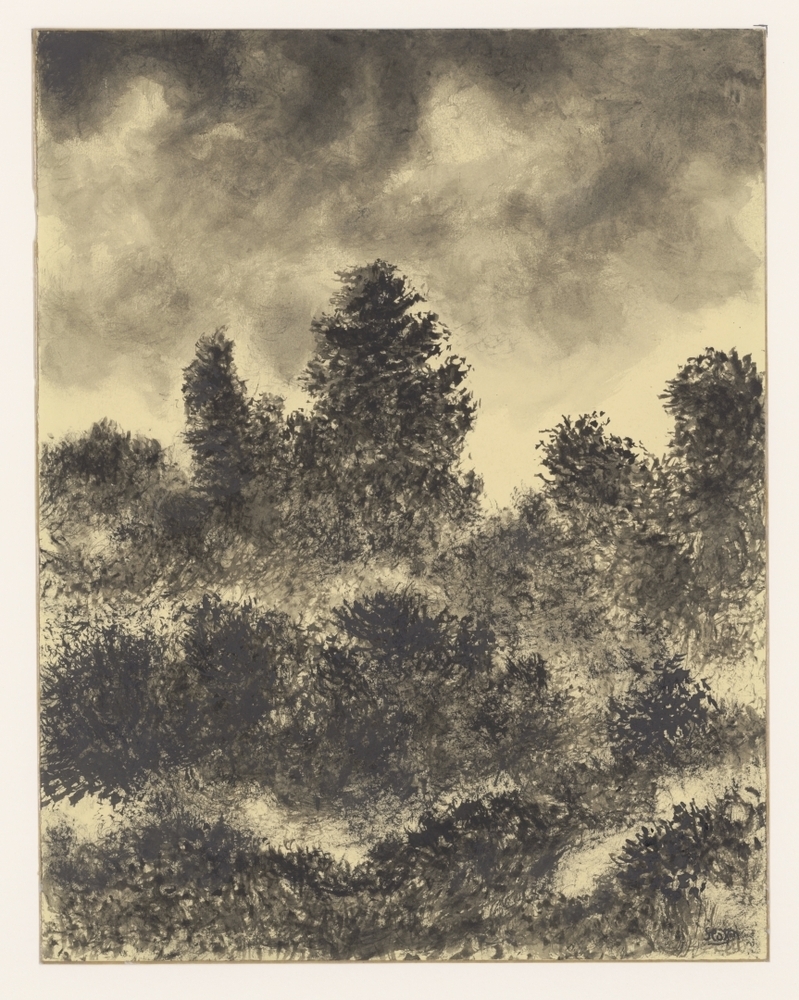 Struiken en bomen onder donkere lucht