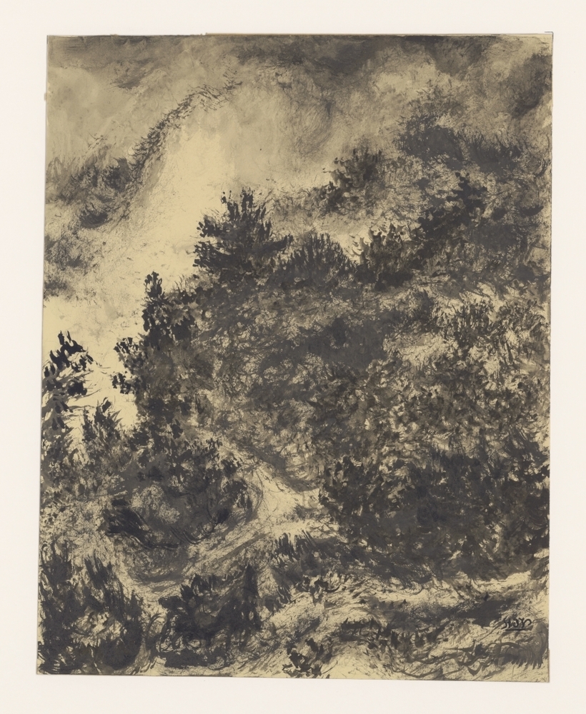 Bergachtig landschap met pad