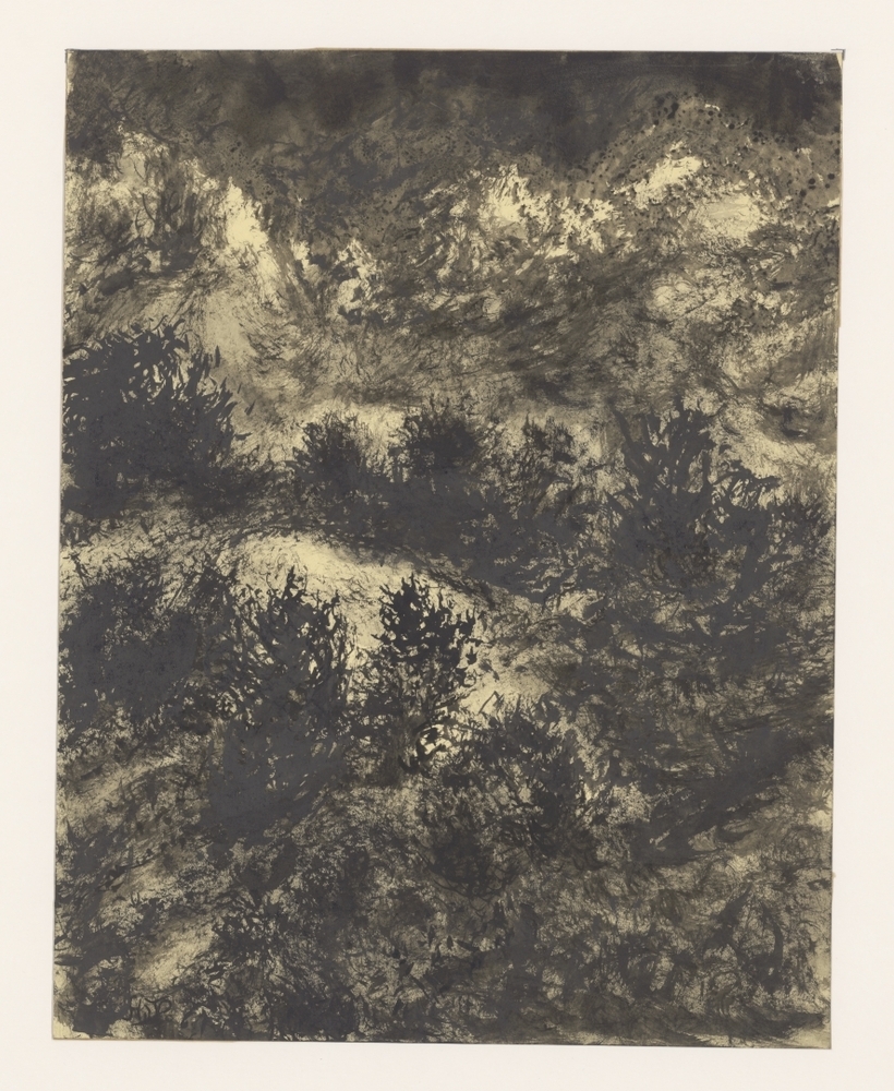 Bergachtig landschap