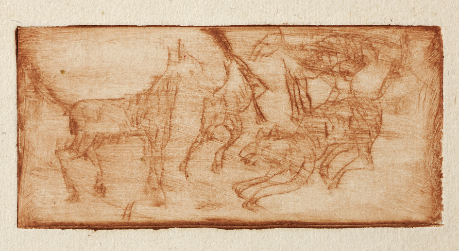 Vechtende honden (E-7)