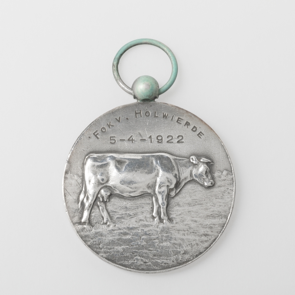 Medaille Fokvee Holwierde
