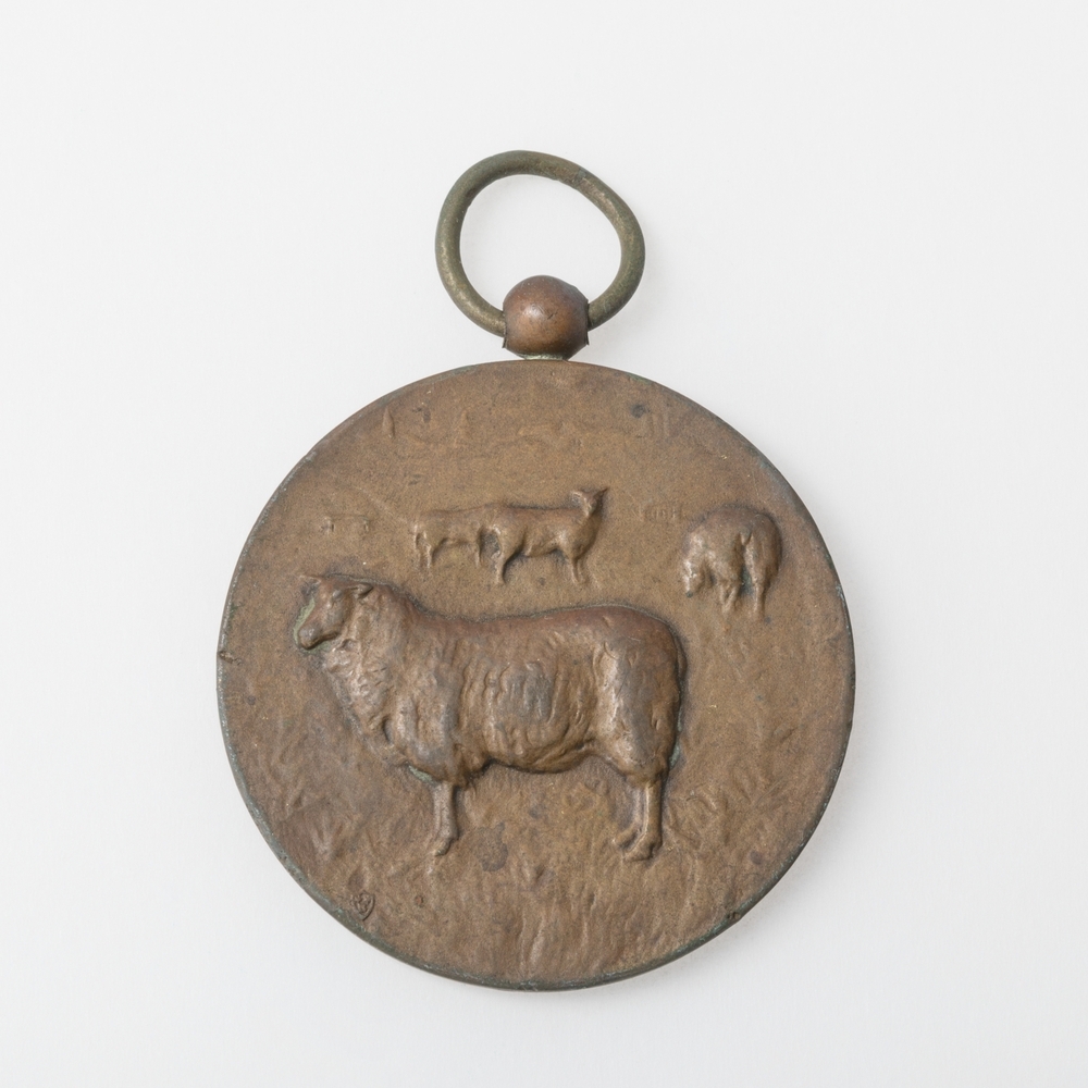 Medaille Schapenkeuring Uithuizermeeden