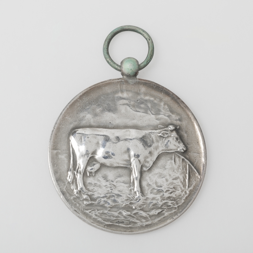 Medaille Tentoonstelling Noorderbroek