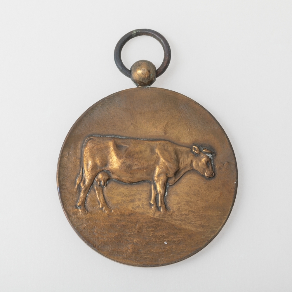 Medaille Nederlands Rundvee Syndicaat