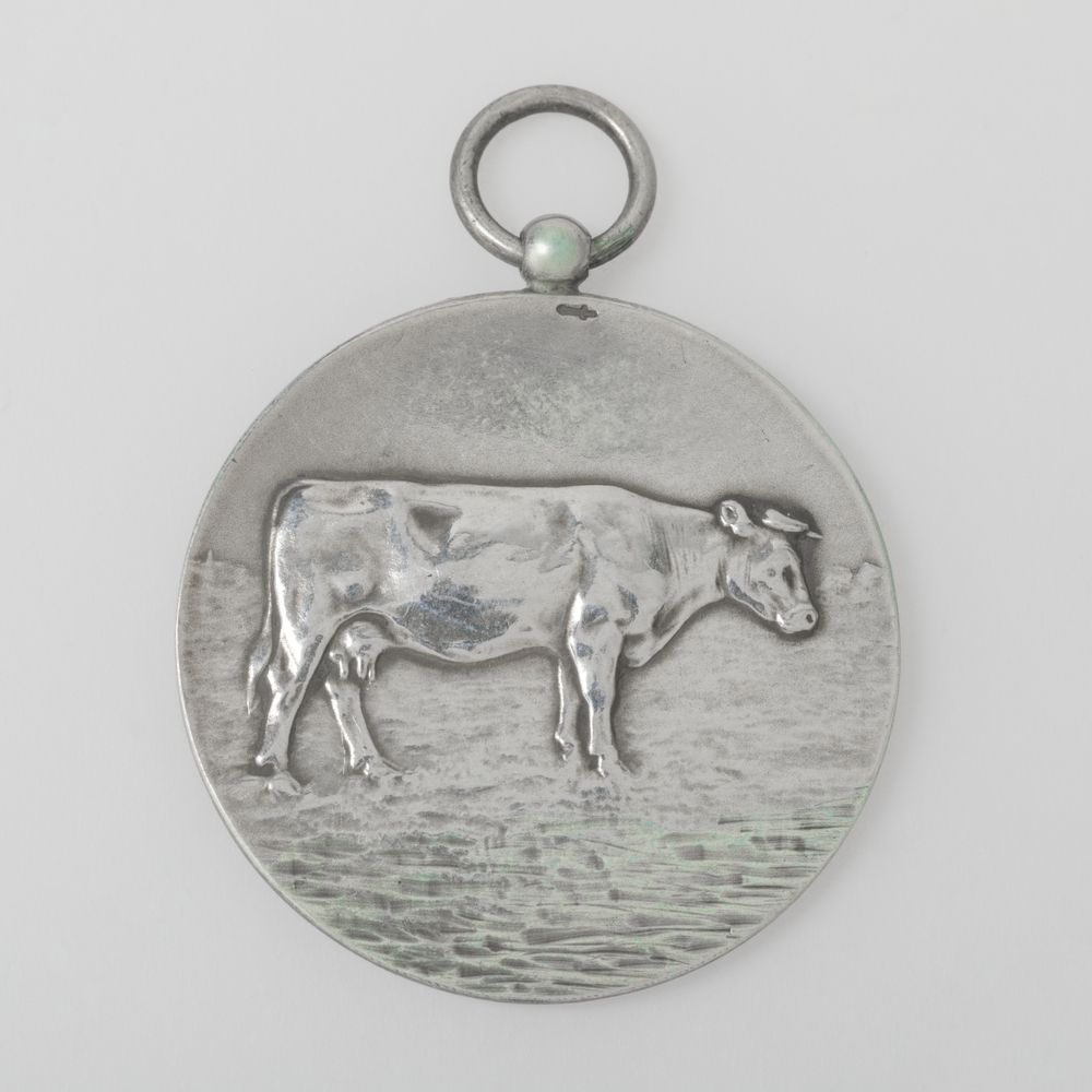 Medaille Noorderlicht