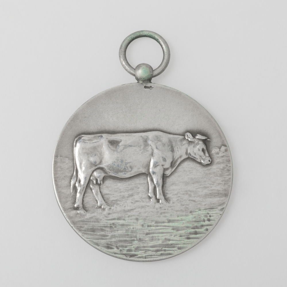 Medaille Noorderlicht