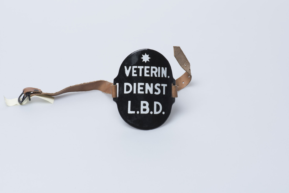 Mouwband Veterin. Dienst Luchtbeschermingsdienst [Groningen]