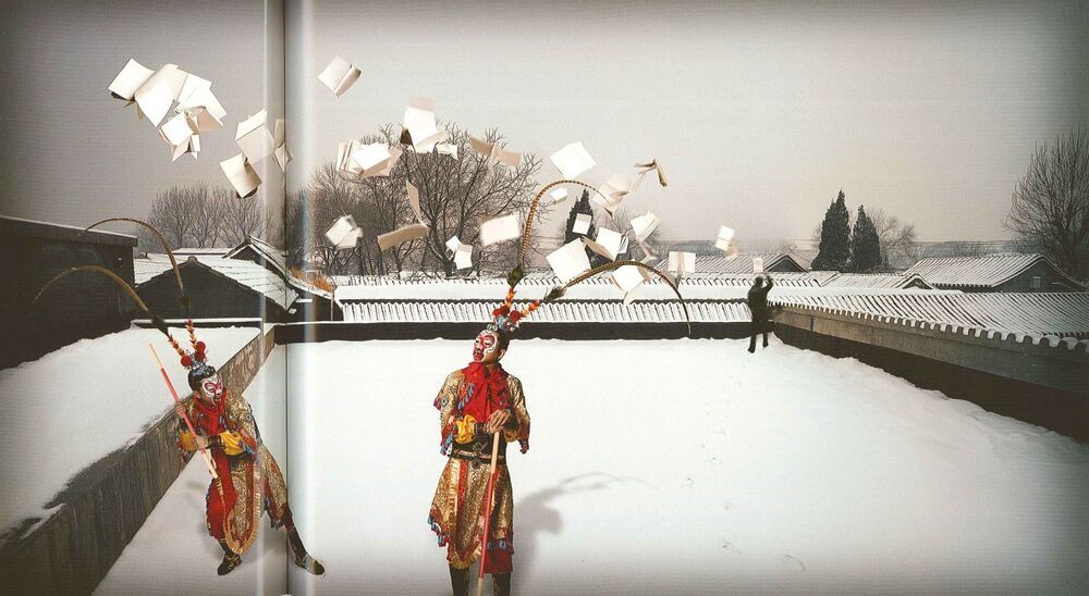 True and False Monkey King