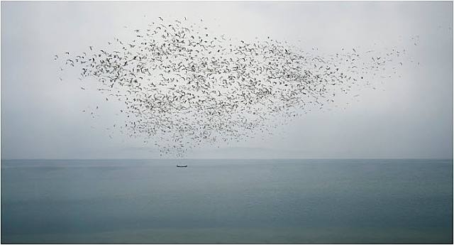 Mood is Never Better than Memory - January