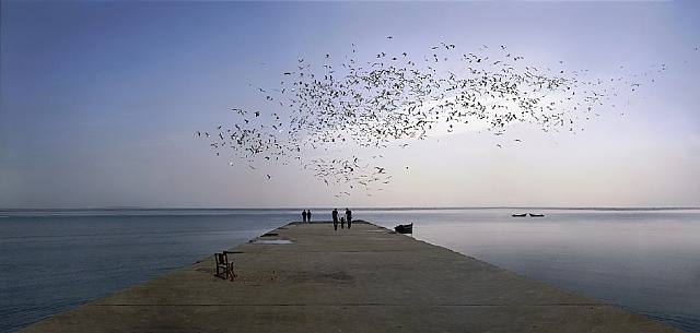 Mood is Never Better than Memory - February