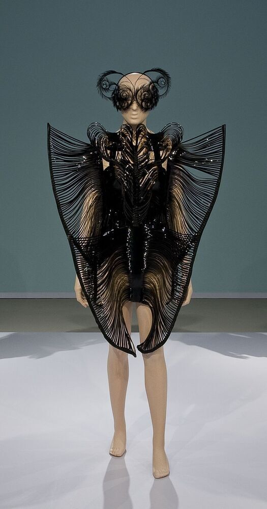 Outfit uit de collectie Synesthesia, februari 2010