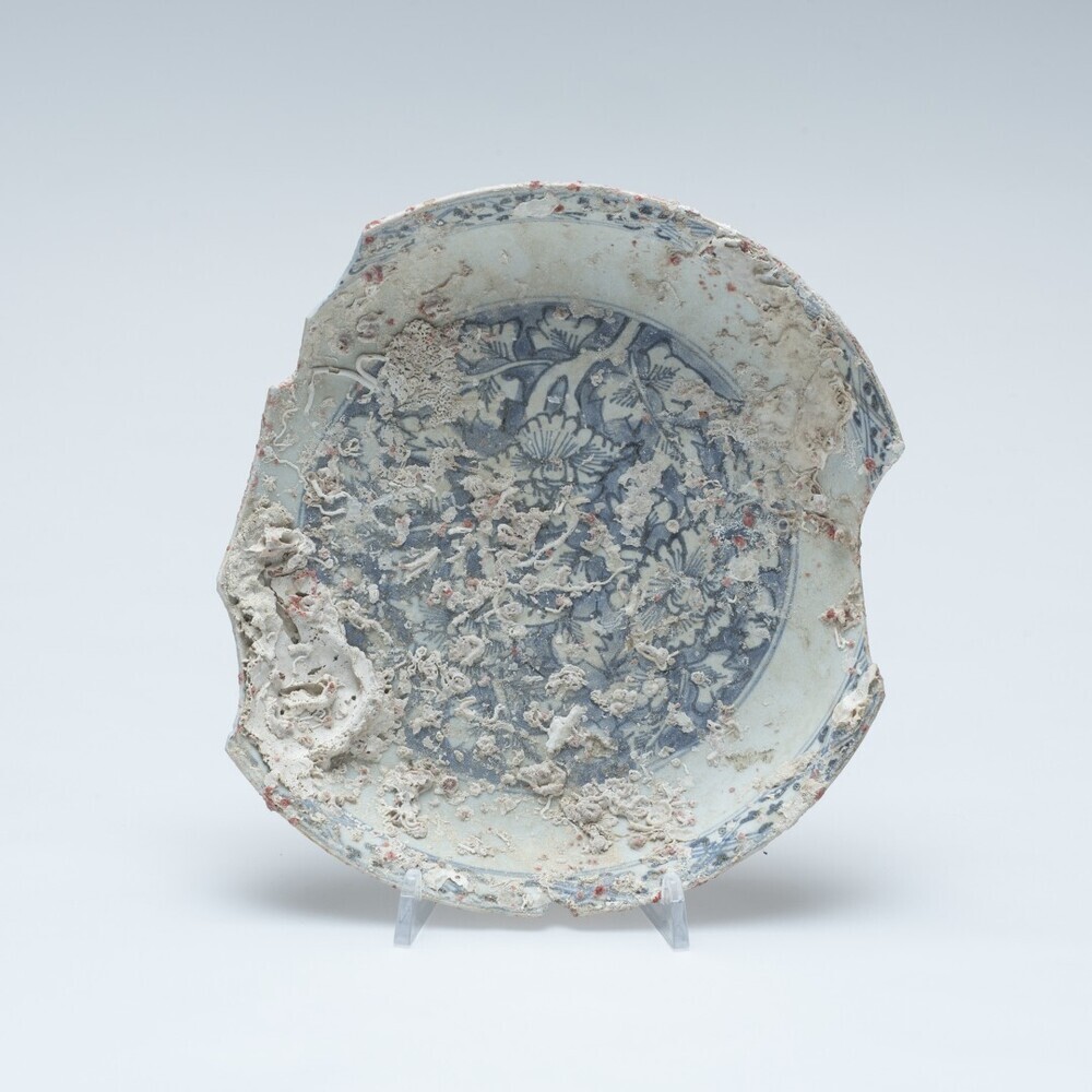 Fragment van schotel