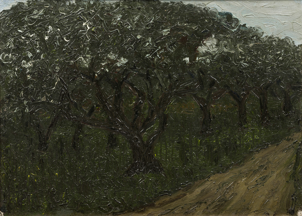 Boomgaard in Onnen (S-8)