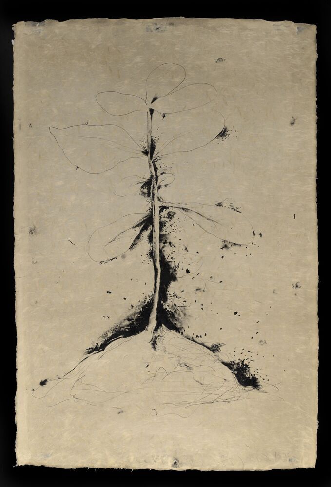 Lithographs of the sculpture The plant becomes a fan (Williams)