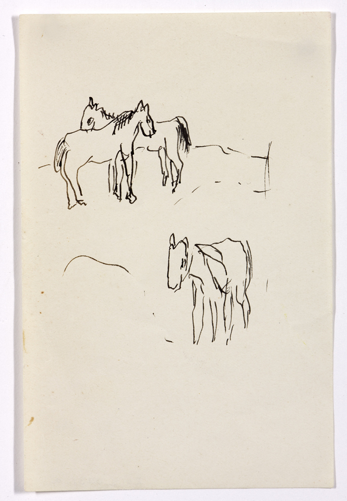 Schetsje twee paarden