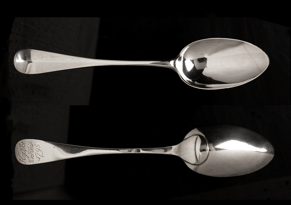 Hopmanslepel Johannes Ter Huisen, 1793