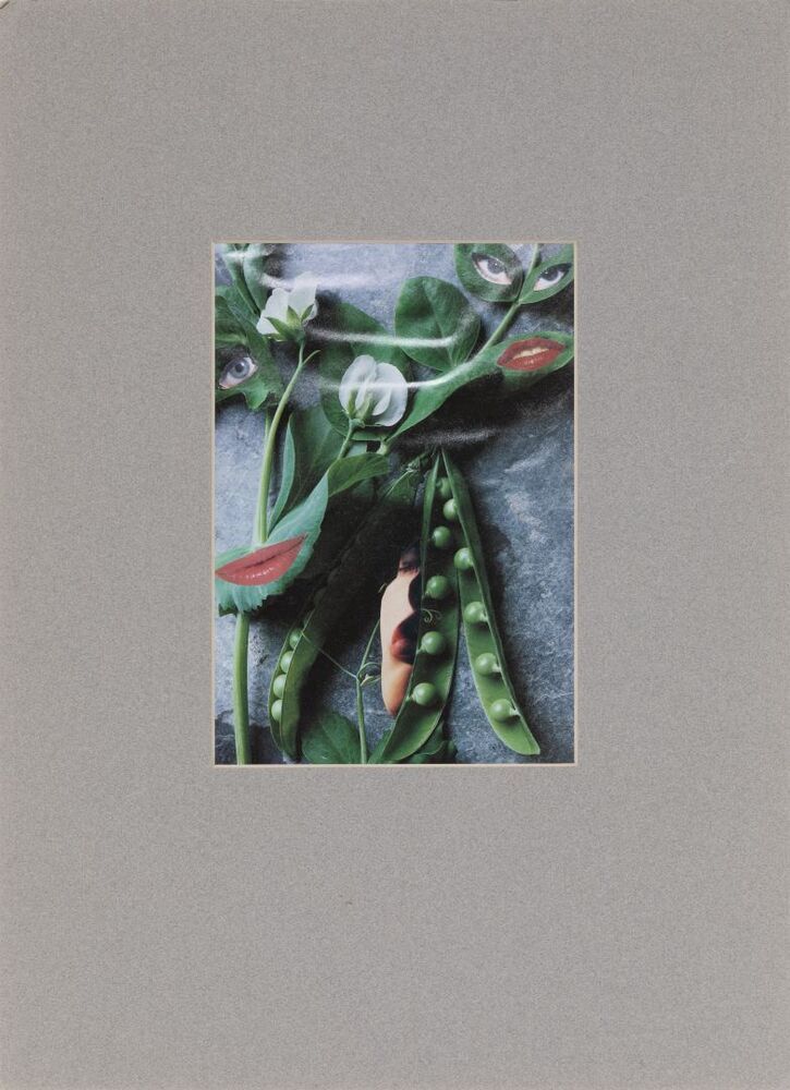 Le Jardin des Délices