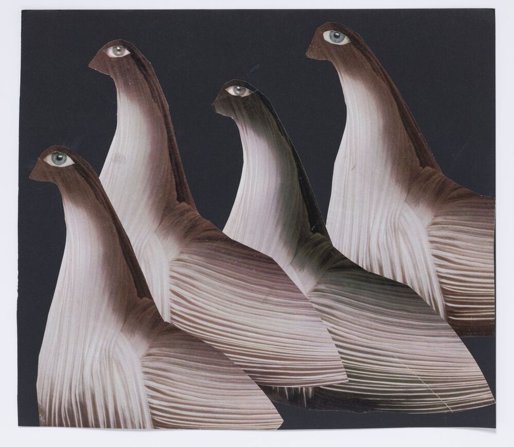 De wachters van het meer