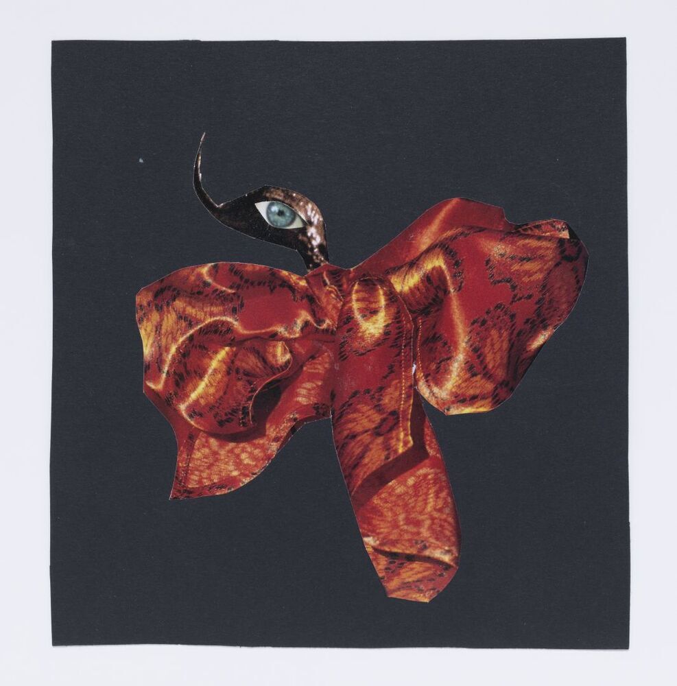 De schorpioenvlinder