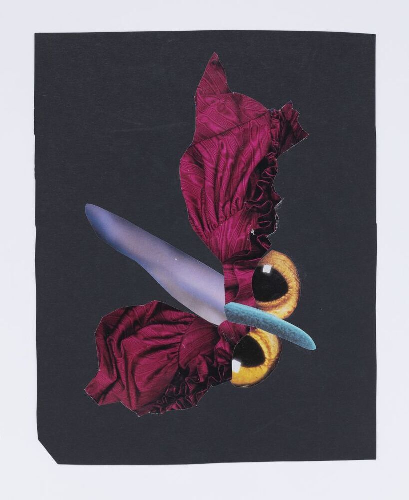 Tenebreria lucifugiens