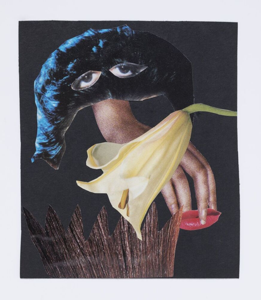 De Muze van het Moeras