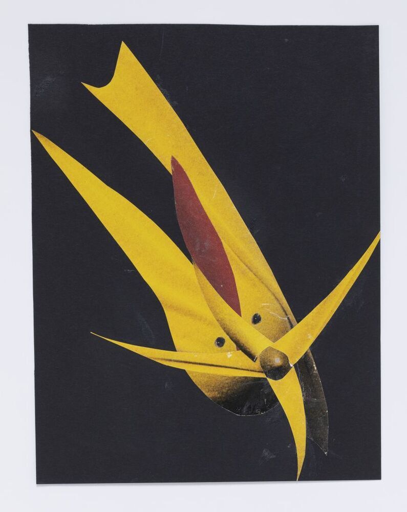 Geest die speelt dat hij een vliegtuig is