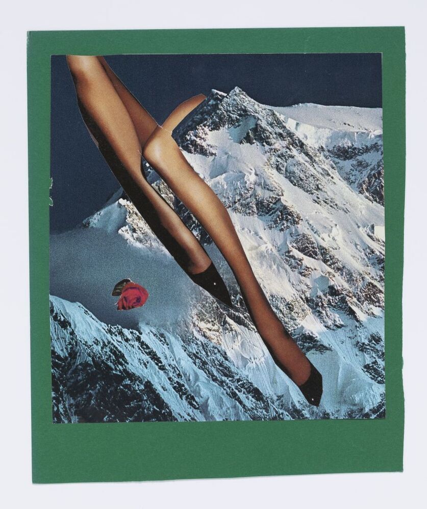 Het geheim van de roos