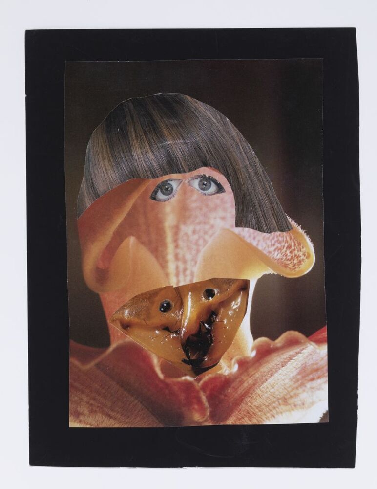 Iemand die ik niet graag zou tegenkomen