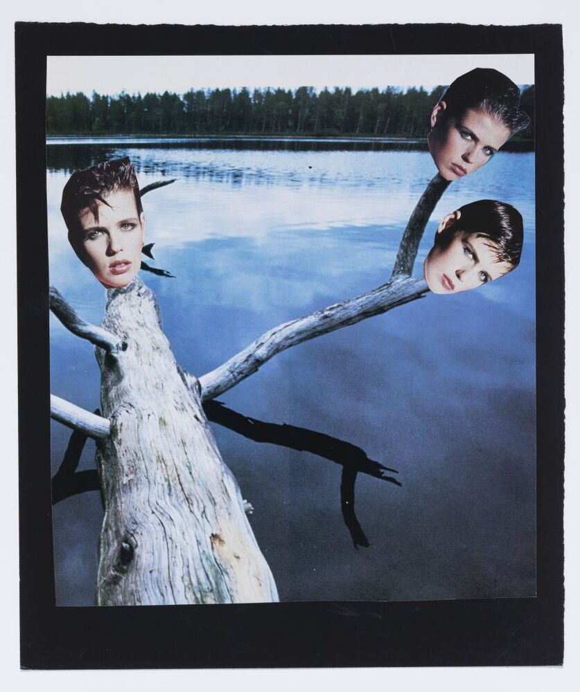 In het voorjaar loopt het dorre hout weer uit