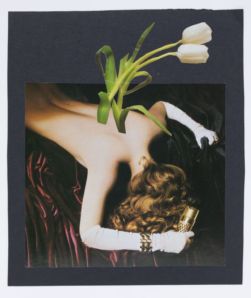 Wintermoeheid en lenteboden