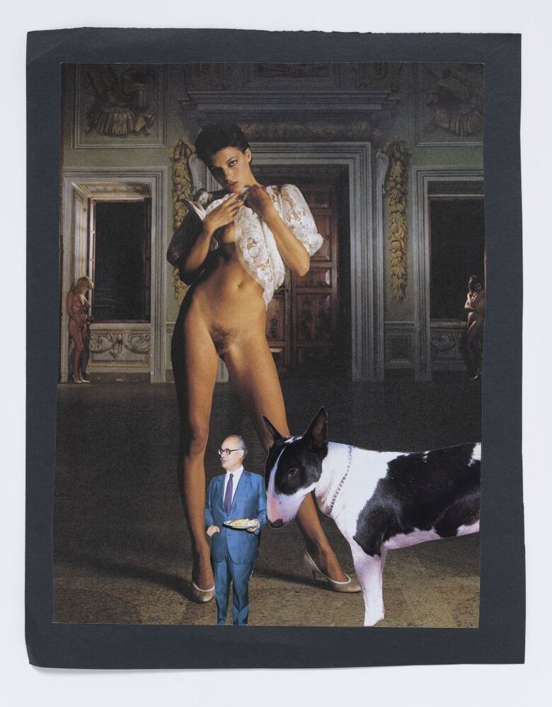 Ik, mijn hond en mijn man