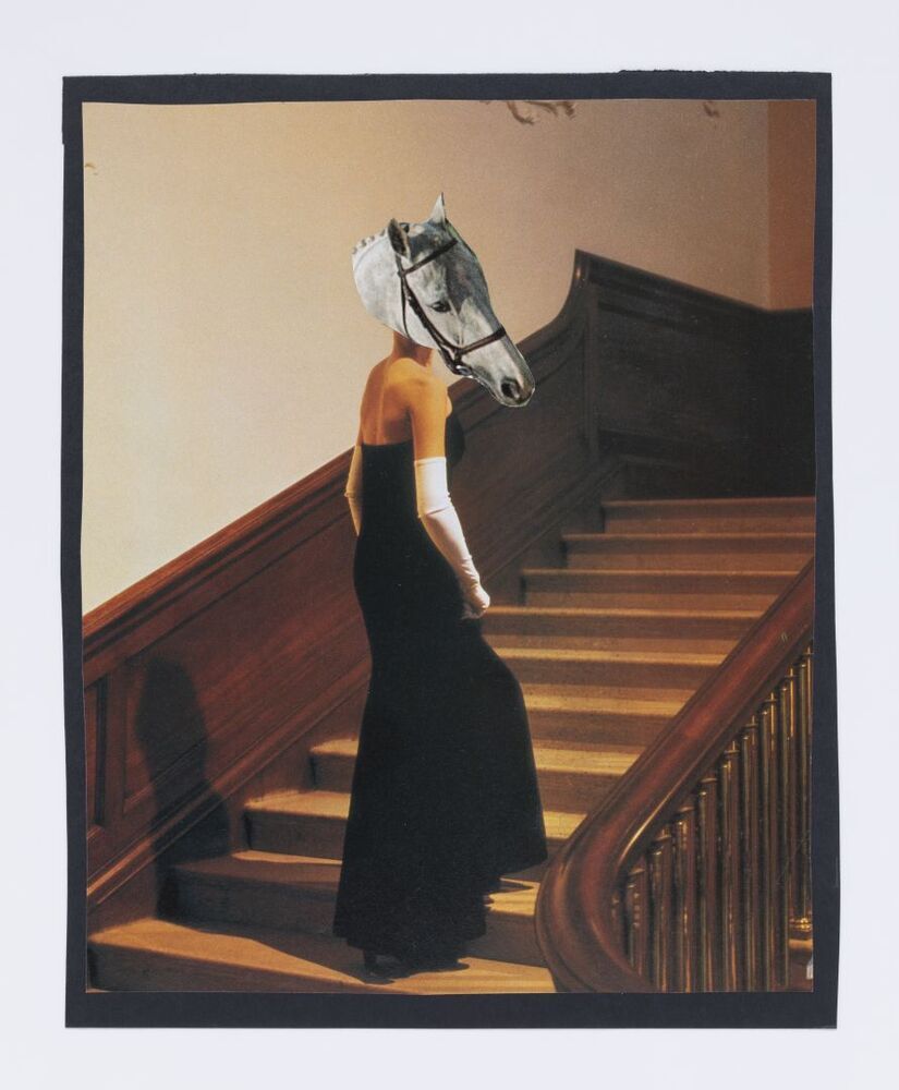 Our Lady of the Races