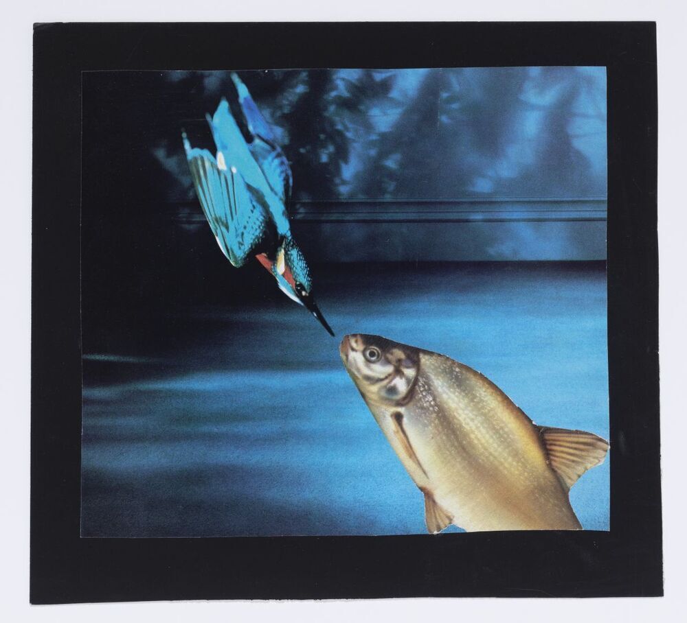 Zijn oog is groter dan zijn maag