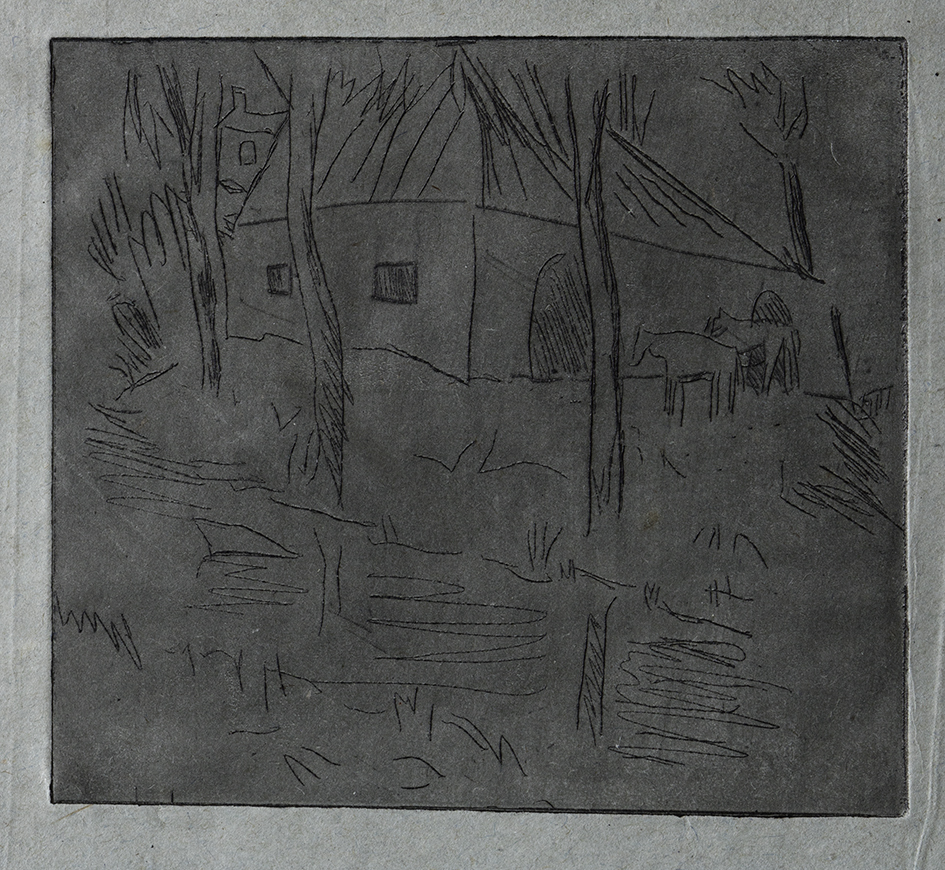 Boerderij aan het Hoornse Diep (E-11)