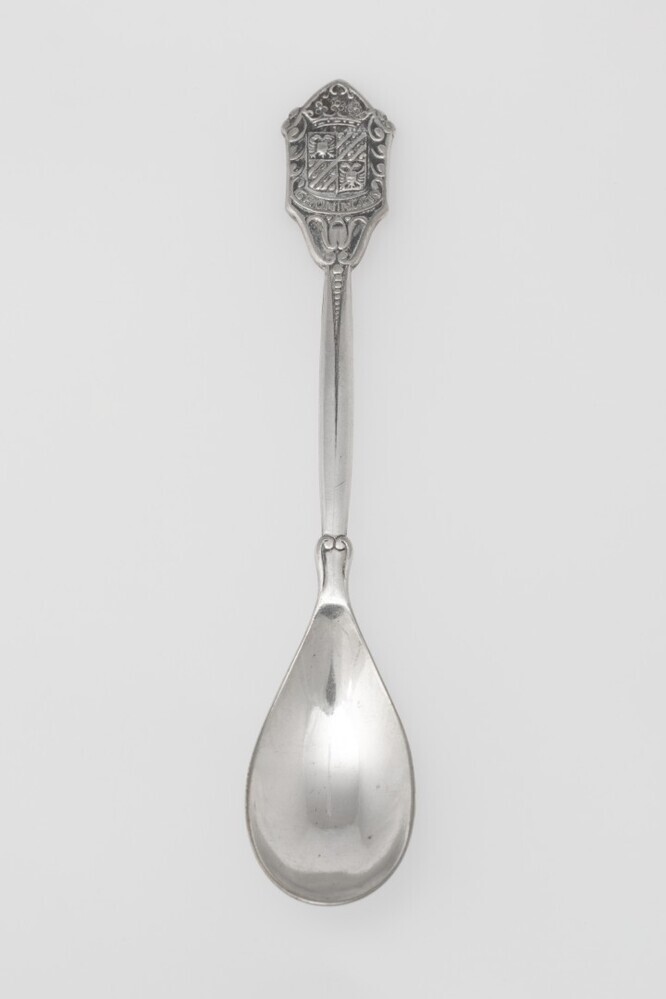 Theelepel Aankoop Centrale Groningen