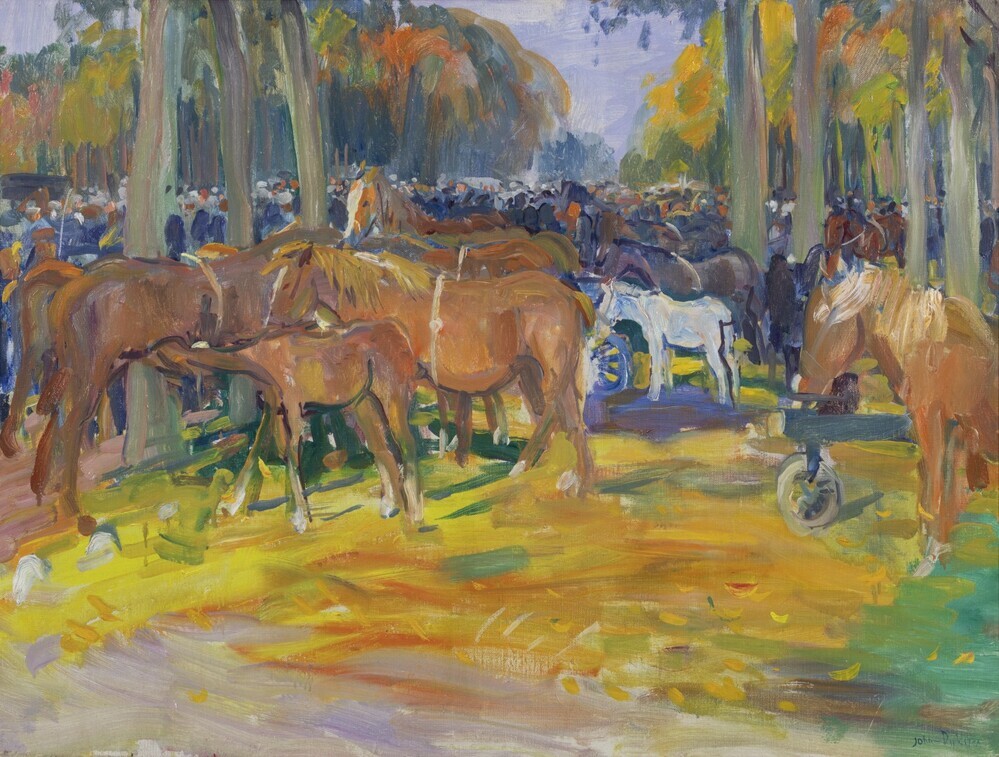 Zuidlaren paardenmarkt